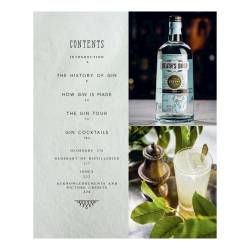 Gin Palace: the curious bartender by Tristan Stephenson