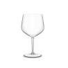 Jener transparent tritan gin and tonic goblet cup 25.36 oz.