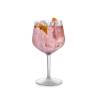 Calice gin tonic Jener in tritan trasparente cl 75