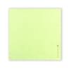 Bio Bamboo compostable viscose and cellulose green napkin 15.75x15.75 inch