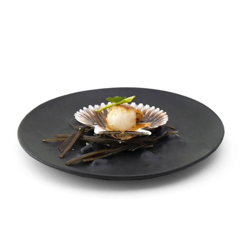 100% Chef black opal glass XL Boiling plate 10.23 inch