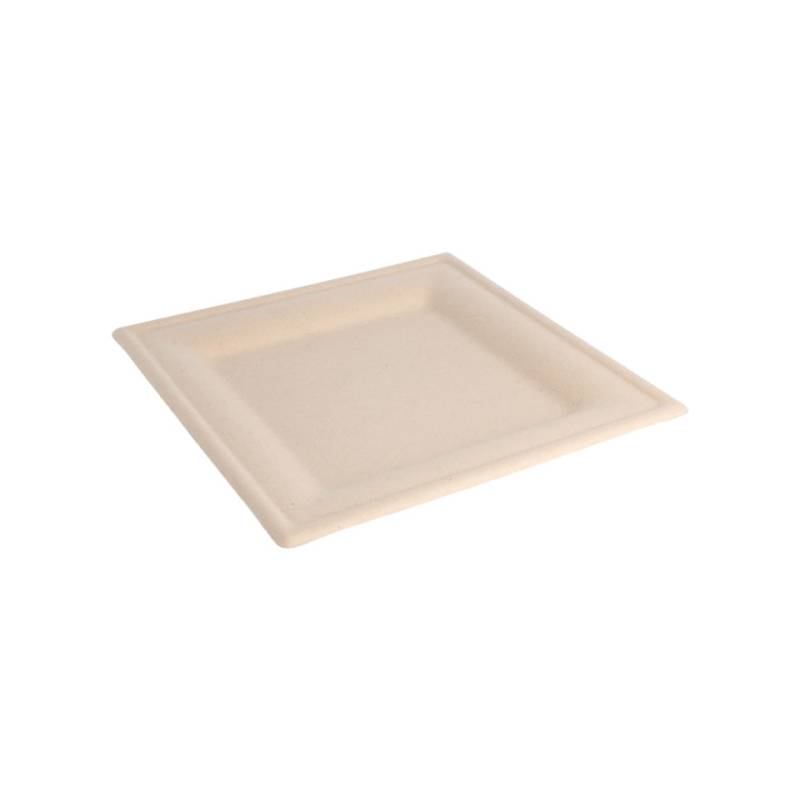 Square ecru bagasse flat plate 7.87x7.87 inch