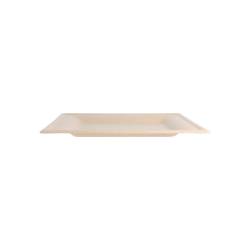 Square ecru bagasse flat plate 7.87x7.87 inch