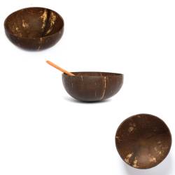 Iconic smooth natural brown coconut bowl