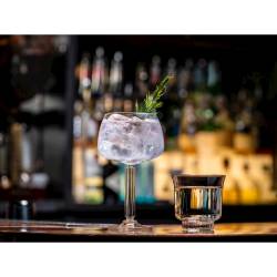 Calice gin tonic Modern America in vetro cl 59