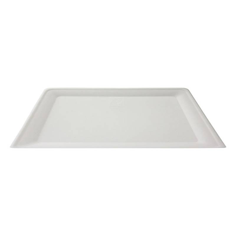 Zen rectangular pulp plate 11.02x7.87 inch