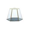 Hexagonal slate tray with hexagonal glass dome 15.75 inch