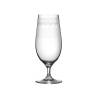 Urban Bar 1910 Verdot glass beer goblet 15.55 oz.