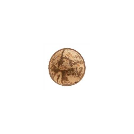 Bol en noix de coco naturelle cl 10