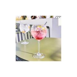 Calice gin tonic Symetrie in vetro cl 58