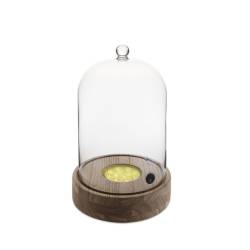 100% Chef wood led base for smoker dome 