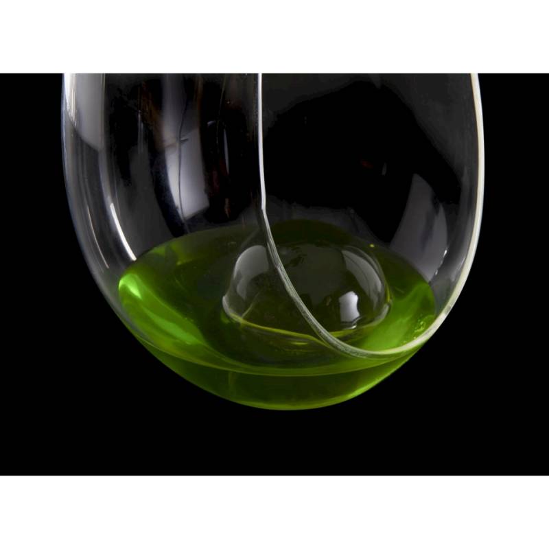 Bicchiere Amazonic 100% Chef in vetro cl 21