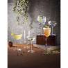 Luigi Bormioli Backdoor '20s gin and tonic goblet in glass cl 80