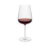 Diverto Rona wine goblet in glass cl 66