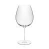 Diverto Rona burgundy goblet in glass cl 89