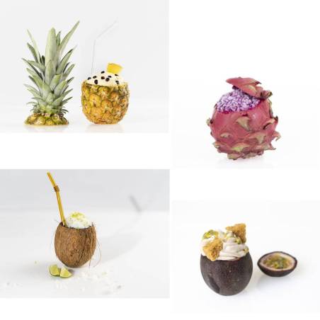 Kit Extracteur de Fruits Presseur Vidange BUIT 100% Chef