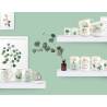 Tasse à tisane Botanic avec filtre en porcelaine avec décors assortis cl 35