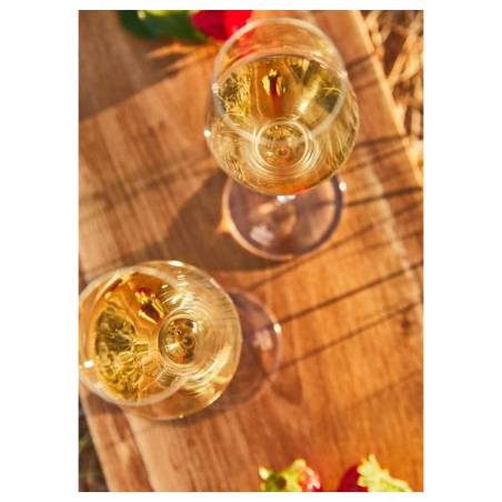 Denk'Art Zalto flûte en verre soufflé cl 26
