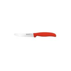 Supra Sanelli Ambrogio stainless steel table knife with red handle cm 11