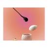 Rex Eggs S egg glass in matt white porcelain cl 30
