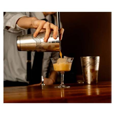 Boston 2 pezzi bilanciato Bailong Dragon Urban Bar in acciaio inox cl 85
