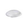 Assiette plate en pulpe de cellulose avec couvercle en pet cm 25