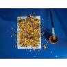 Flower cocktail edible flowers mix multicolor gr 5