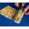 Flower cocktail edible flowers mix multicolor gr 5