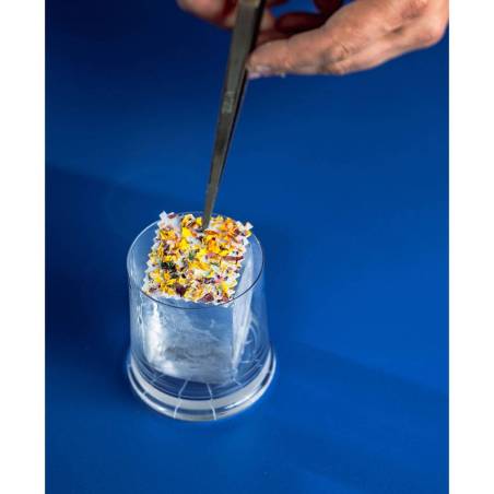 Cocktail de fleurs mélange de fleurs comestibles multicolore gr 5