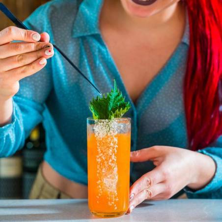 Verre Bliss Onis hi-ball cl 36