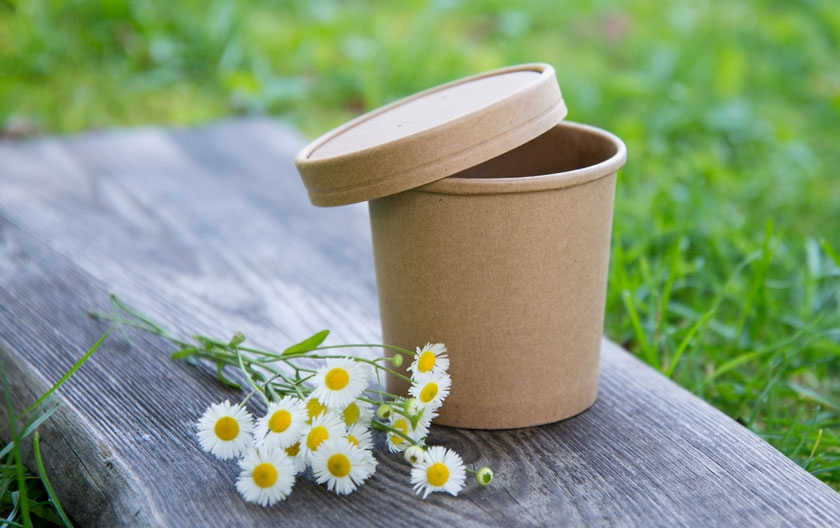 Low-cost disposables: plates and saucers for takeout and street food