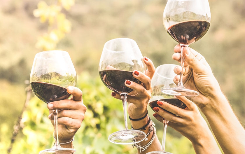 Prodotti per il vino: decanter, sciabola e non solo, le novità di RGmania