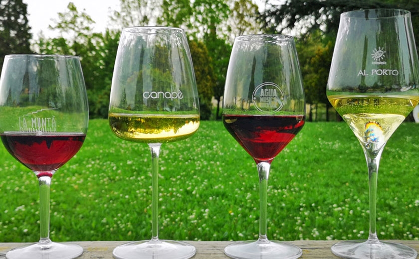 Choose these goblets and we'll give you the logo!
